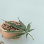 Dlaczego niektóre nasiona marihuany są bardziej stabilne niż inne?