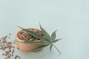 Dlaczego niektóre nasiona marihuany są bardziej stabilne niż inne?