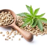 Nasiona marihuany w psychologii – wpływ na nastrój i emocje