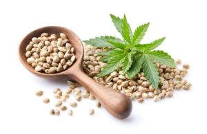 Nasiona marihuany w psychologii – wpływ na nastrój i emocje